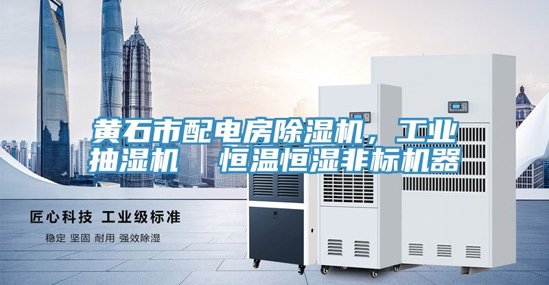 黃石市配電房除濕機(jī)，工業(yè)抽濕機(jī)  恒溫恒濕非標(biāo)機(jī)器